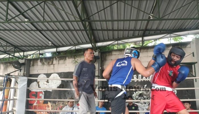 Pertina Surabaya Matangkan Persiapan Piala Wali Kota dan Porprov Jatim, 24 Petinju Jalani Seleksi Ketat