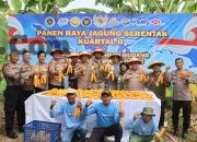 Wujudkan Ketahanan Pangan, Polres Pelabuhan Tanjung Perak Panen Raya Jagung Kuartal II Tahun 2026
