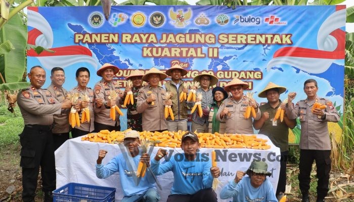 Wujudkan Ketahanan Pangan, Polres Pelabuhan Tanjung Perak Panen Raya Jagung Kuartal II Tahun 2026