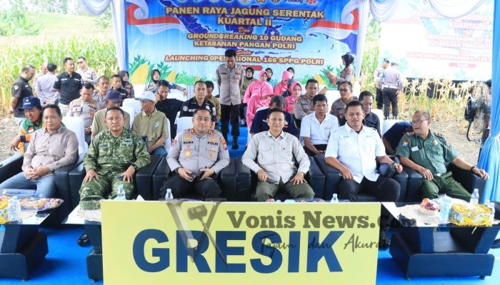 Dukung Ketahanan Pangan Nasional, Polres Gresik Sukses Panen Raya Jagung 80 Ton di Panceng dan Salurkan Bantuan untuk Petani