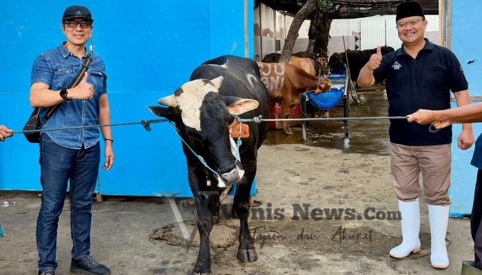 PAM Surya Sembada Surabaya Salurkan 13 Ekor Sapi Qurban untuk Warga di Idul Adha 1447 H