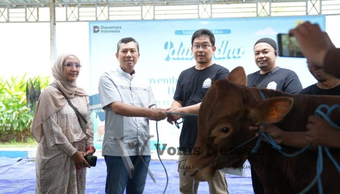 Semangat Berbagi Iduladha 1447 H, PLN UIP JBTB Salurkan Belasan Hewan Kurban untuk Masyarakat