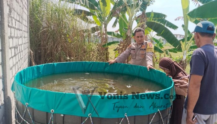 Polsek Benjeng Kawal Ketahanan Pangan, Budidaya Lele di Bulurejo Tunjukkan Hasil Positif