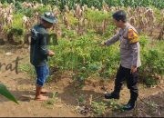 Img 20260616 Wa0098