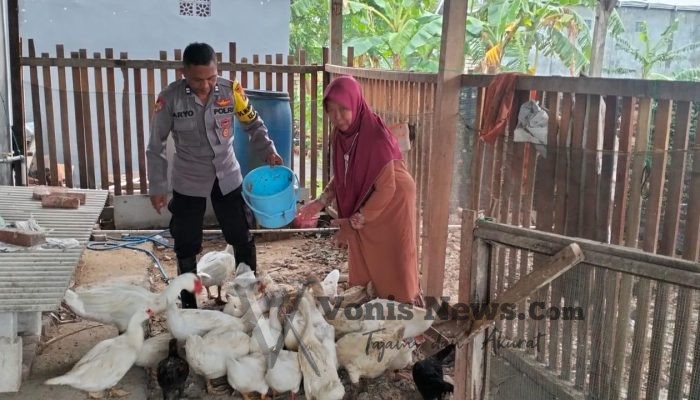 Polsek Benjeng Pantau Peternakan Bebek di Munggugebang, Perkuat Ketahanan Pangan dan Dukung Swasembada Nasional