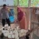 Img 20260618 Wa0043