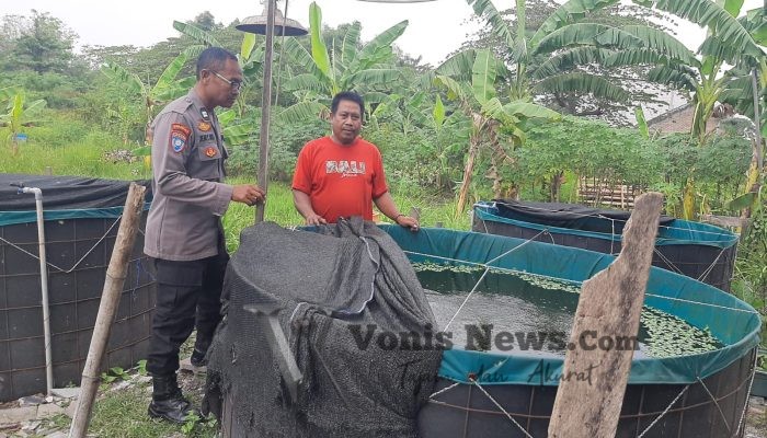 Polsek Kebomas Pantau Budidaya Lele di Desa Sekarkurung untuk Perkuat Ketahanan Pangan Nasional