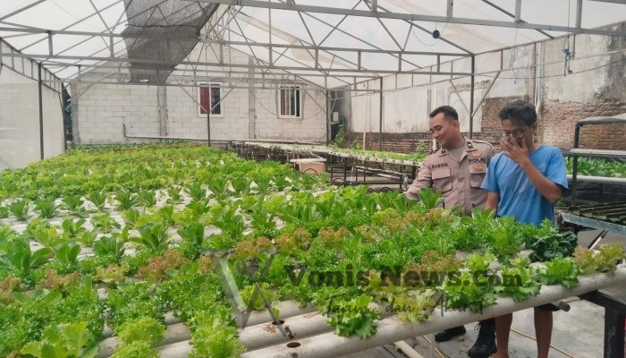 Polsek Benjeng Pantau Budidaya Sawi Hidroponik di Desa Bulurejo untuk Dukung Ketahanan Pangan Nasional