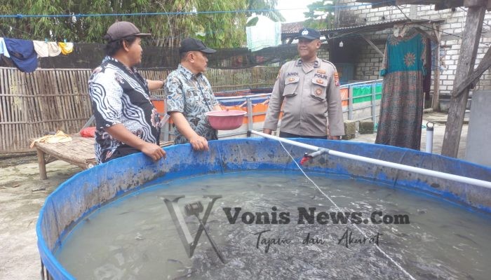 Polsek Cerme Monitoring Kolam Budidaya Lele di Desa Dungus, Perkuat Ketahanan Pangan Menuju Swasembada Nasional
