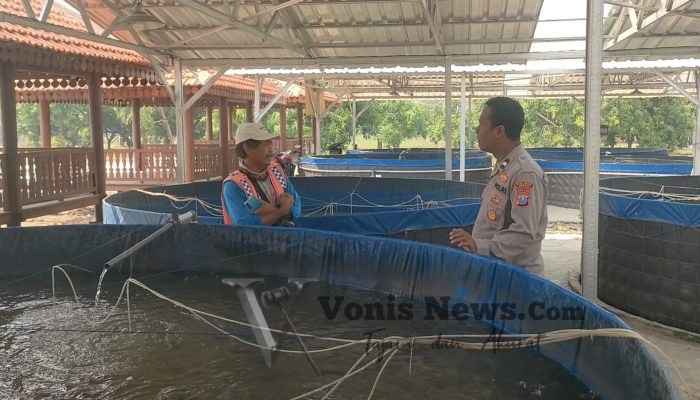 Polsek Sidayu Tinjau Budidaya Lele di Desa Lasem, Dukung Program Swasembada Pangan Nasional