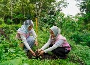 Srikandi PLN Icon Plus Jatim Tanam 200 Bibit Pohon di Kaki Gunung Arjuno–Welirang untuk Dukung Konservasi Lingkungan