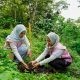 Img 20260626 Wa0176