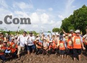 PLN Icon Plus Kenalkan Pelestarian Pesisir kepada Generasi Muda melalui Penanaman Mangrove