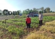 Img 20260627 Wa0118(1)