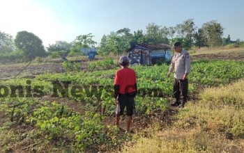 Img 20260627 Wa0118(1)