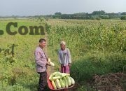 Img 20260630 Wa0083(1)