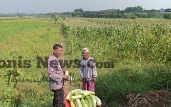 Img 20260630 Wa0083(1)