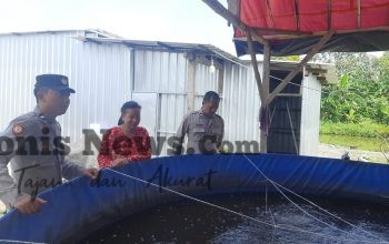 Img 20260701 Wa0113