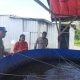 Polsek Kebomas Turun Langsung Cek Peternakan Lele, Perkuat Ketahanan Pangan Menuju Swasembada Nasional