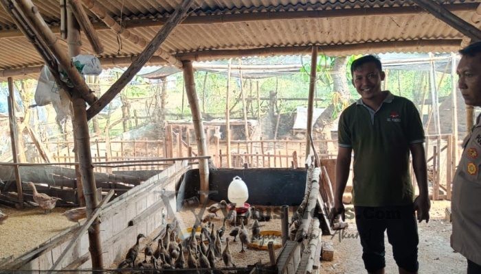 Dukung Swasembada Pangan, Bhabinkamtibmas Polsek Panceng Pantau Peternakan Bebek Warga di Desa Sukodono