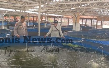 Implementasikan Program Presiden, Polsek Sidayu Cek Budidaya Lele di Desa Lasem untuk Dukung Ketahanan Pangan Nasional