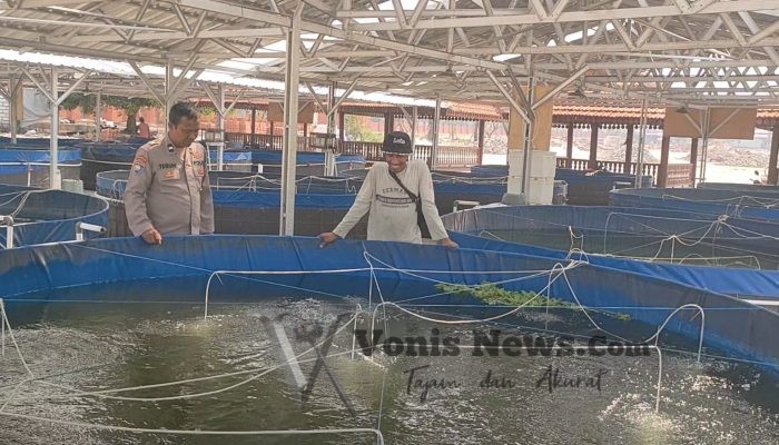Implementasikan Program Presiden, Polsek Sidayu Cek Budidaya Lele di Desa Lasem untuk Dukung Ketahanan Pangan Nasional
