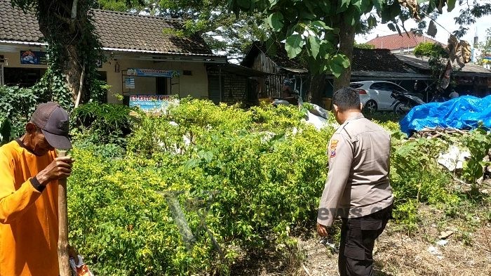 Polsek Dukun Cek Tanaman Cabai di Desa Mentaras, Perkuat Ketahanan Pangan Menuju Swasembada Nasional