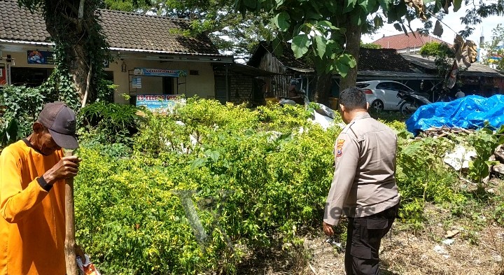 Img 20260704 Wa0095
