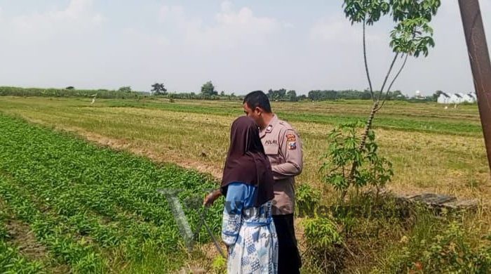 Bhabinkamtibmas Polsek Balongpanggang Cek Tanaman Kangkung, Dukung Swasembada Pangan Nasional