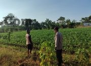 Img 20260710 Wa0033