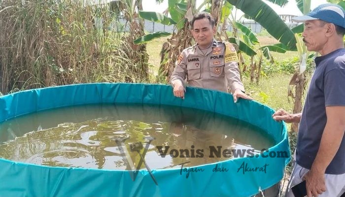 Polsek Benjeng Cek Budidaya Ikan Lele di Bulurejo, Dukung Program Swasembada Pangan Nasional