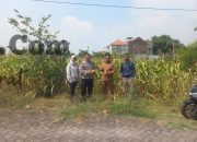 Img 20260712 Wa0006