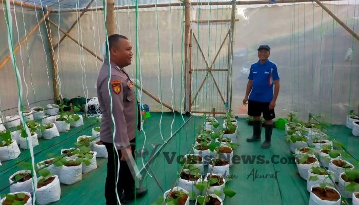 Dukung Arahan Presiden RI, Polsek Dukun Monitoring Perkembangan Tanaman Melon di Mojopetung untuk Perkuat Ketahanan Pangan