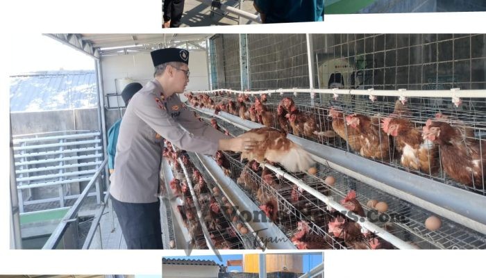 Polsek Karangpilang Dorong Pemanfaatan Lahan Produktif melalui Peternakan, Budidaya Ikan, dan Hidropon