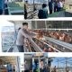 Polsek Karangpilang Dorong Pemanfaatan Lahan Produktif melalui Peternakan, Budidaya Ikan, dan Hidropon