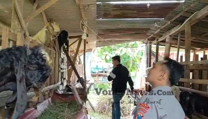 Polsek Benjeng Monitoring Peternakan Kambing di Bulurejo, Dukung Program Ketahanan Pangan Nasional