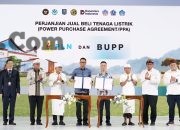 Img 20260721 Wa0241