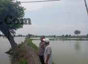 Img 20260726 Wa0006