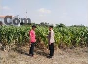 Img 20260727 Wa0079