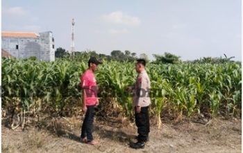 Img 20260727 Wa0079