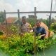 Dukung Swasembada Pangan, Polres Gresik Monitoring Lahan Cabai di Desa Babakbawo Menulis