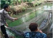 Polsek Benjeng Cek Budidaya Lele di Bengkelolor, Perkuat Ketahanan Pangan Nasional dan Dukung Swasembada Pangan