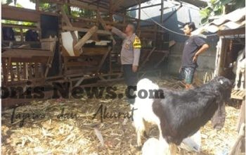 Img 20260801 Wa0020
