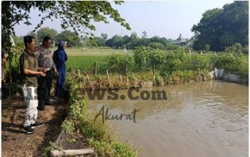 Dukung Swasembada Pangan, Kapolres Gresik Kerahkan Polsek Driyorejo Pantau Budidaya Ikan Nila di Desa Tanjungan