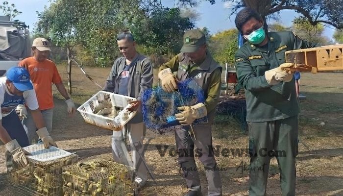 Disembunyikan di Bagasi Bus, Karantina Bali Gagalkan Penyelundupan 284 Burung Ilegal ke Jawa Tengah