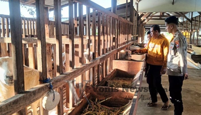 Polsek Panceng Cek Peternakan Kambing di Desa Prupuh, Perkuat Ketahanan Pangan Menuju Swasembada Nasional