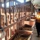 Polsek Panceng Cek Peternakan Kambing di Desa Prupuh, Perkuat Ketahanan Pangan Menuju Swasembada Nasional