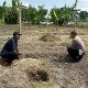 Polsek Kebomas Monitoring Tanaman Jagung di Desa Kembangan, Perkuat Dukungan Ketahanan Pangan Nasional