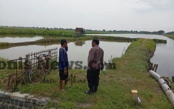 Polsek Duduksampeyan Monitoring Tambak Ikan di Wadak Kidul, Perkuat Ketahanan Pangan Nasional