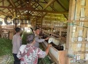 Img 20260808 Wa0105